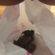 A very cute girl shits a hanging log into a plastic bag from an under ass view. Unusual receptacle. Filmed from a between the legs perspective. Vertical format video. Over a minute.